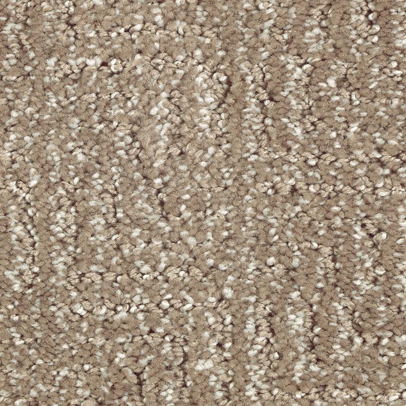 Natural Treasure 523 Urban Taupe 46 oz. Triexta Smartstrand Silk Pattern Indoor Carpet Flooring 12' Feet Wide (9 sf / yd)