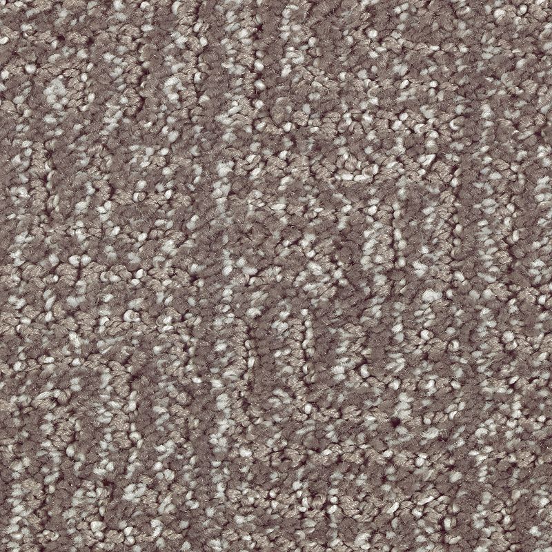 Natural Treasure 528 Deep Slate 46 oz. Triexta Smartstrand Silk Pattern Indoor Carpet Flooring 12' Feet Wide (9 sf / yd)