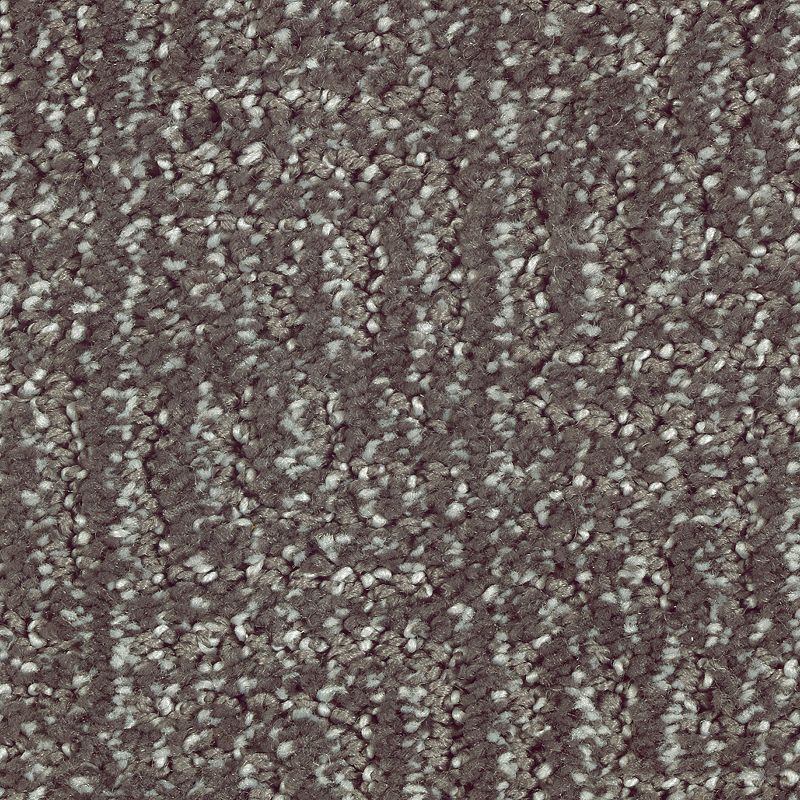 Natural Treasure 532 Wrought Iron 46 oz. Triexta Smartstrand Silk Pattern Indoor Carpet Flooring 12' Feet Wide (9 sf / yd)