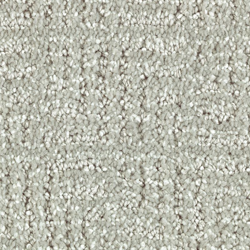 Natural Treasure 538 Seascape 46 oz. Triexta Smartstrand Silk Pattern Indoor Carpet Flooring 12' Feet Wide (9 sf / yd)