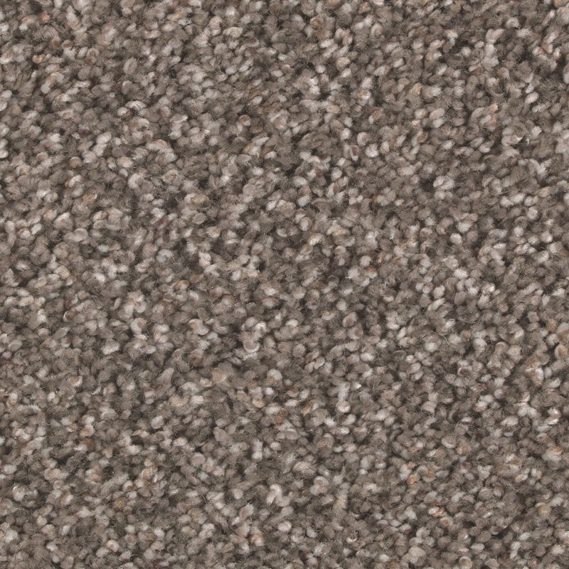 Nature's Elegance 569 Silhouette 52 oz. Triexta Smartstrand Silk Texture Indoor Carpet Flooring 12' Feet Wide (9 sf / yd)