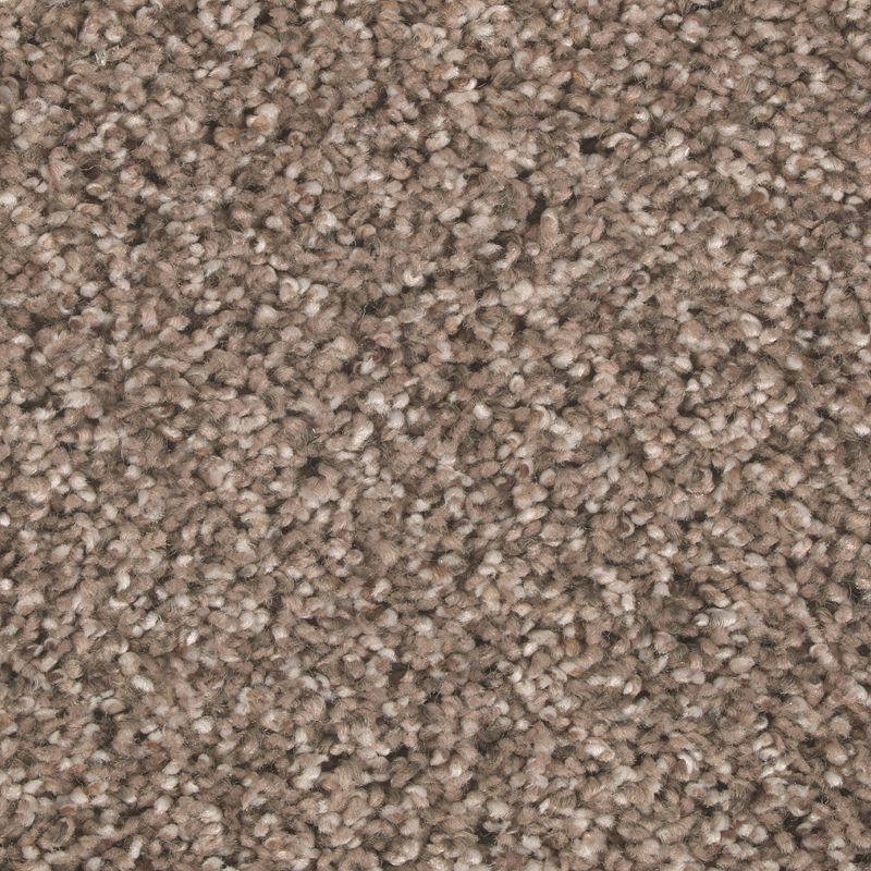 Nature's Elegance 570 Hazy Taupe 52 oz. Triexta Smartstrand Silk Texture Indoor Carpet Flooring 12' Feet Wide (9 sf / yd)