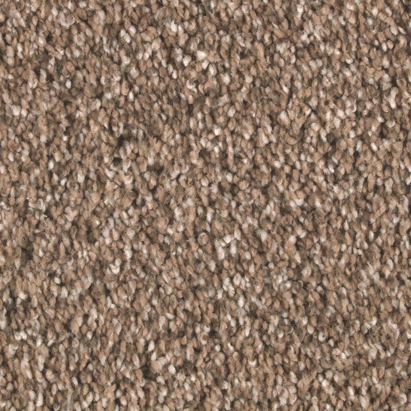 Nature's Elegance 571 Woodland 52 oz. Triexta Smartstrand Silk Texture Indoor Carpet Flooring 12' Feet Wide (9 sf / yd)