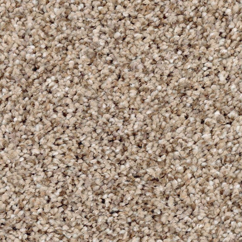 Nature's Luxury II 544 Fallen Timber 52 oz. Triexta Smartstrand Silk Texture Indoor Carpet Flooring 12' Feet Wide (9 sf / yd)