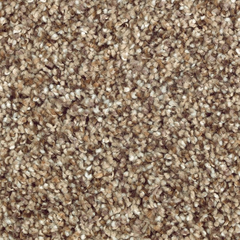 Nature's Luxury II 546 Cobble Path 52 oz. Triexta Smartstrand Silk Texture Indoor Carpet Flooring 12' Feet Wide (9 sf / yd)