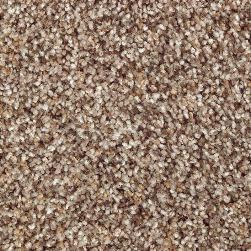 Nature's Luxury II 550 Grey Hearth 52 oz. Triexta Smartstrand Silk Texture Indoor Carpet Flooring 12' Feet Wide (9 sf / yd)