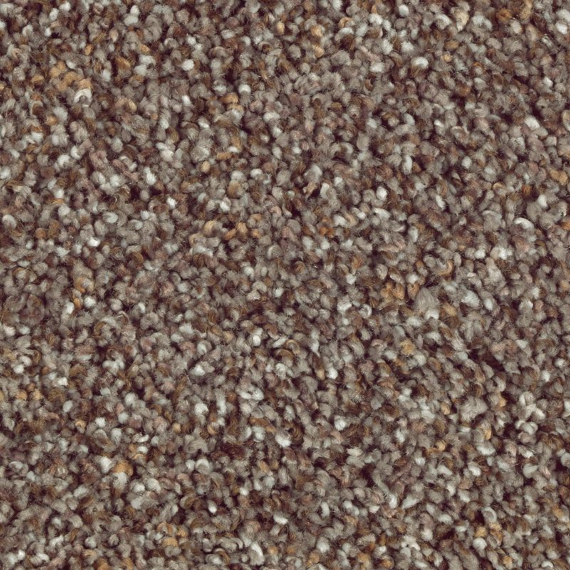 Nature's Luxury II 552 Distant Thunder 52 oz. Triexta Smartstrand Silk Texture Indoor Carpet Flooring 12' Feet Wide (9 sf / yd)