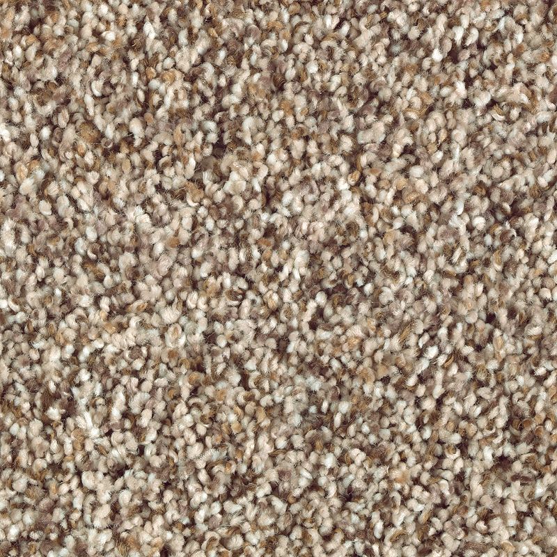Nature's Luxury I 545 Carved Wood 42 oz. Triexta Smartstrand Silk Texture Indoor Carpet Flooring 12' Feet Wide (9 sf / yd)