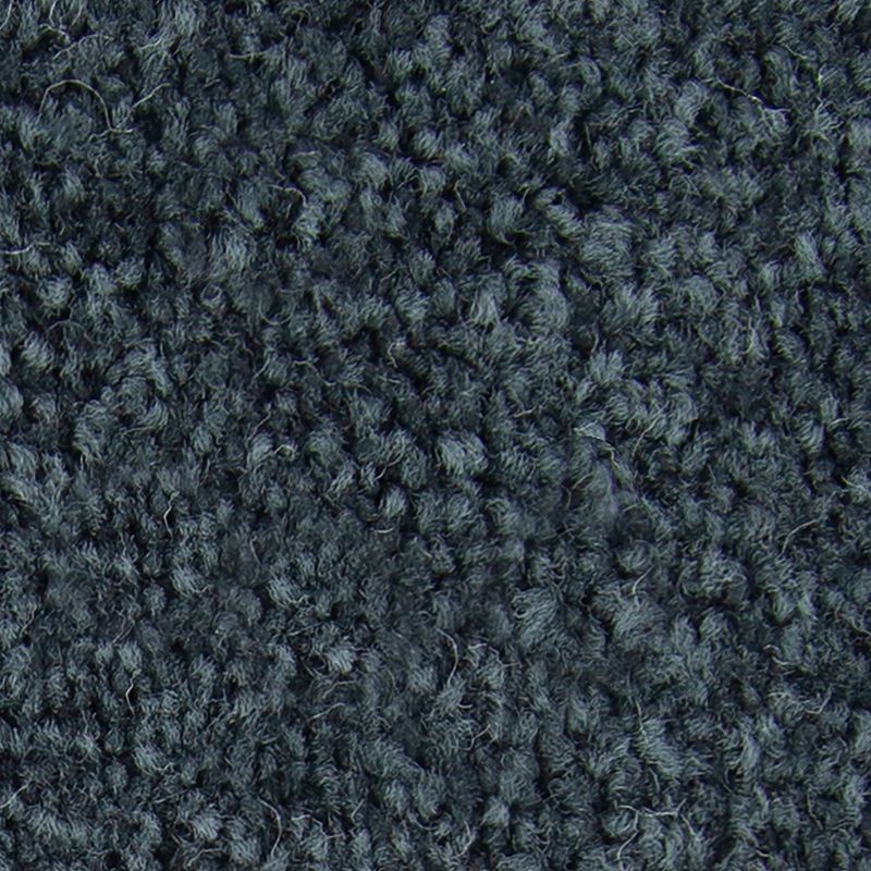 Noteworthy Selection 540 Peacock Feather 45 oz. Triexta Smartstrand Texture Indoor Carpet Flooring 12' Feet Wide (9 sf / yd)
