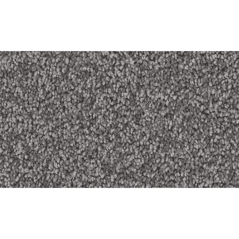 Noteworthy Selection 556 Alden Charcoal 45 oz. Triexta Smartstrand Texture Indoor Carpet Flooring 12' Feet Wide (9 sf / yd)