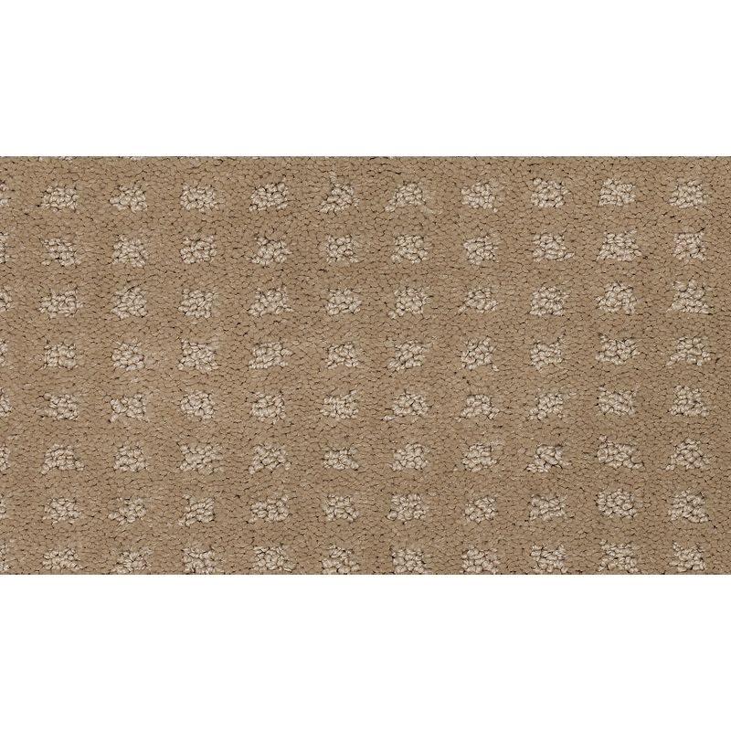 Outstanding Artistry 518 Outback 38 oz. Triexta Smartstrand Pattern Indoor Carpet Flooring 12' Feet Wide (9 sf / yd)
