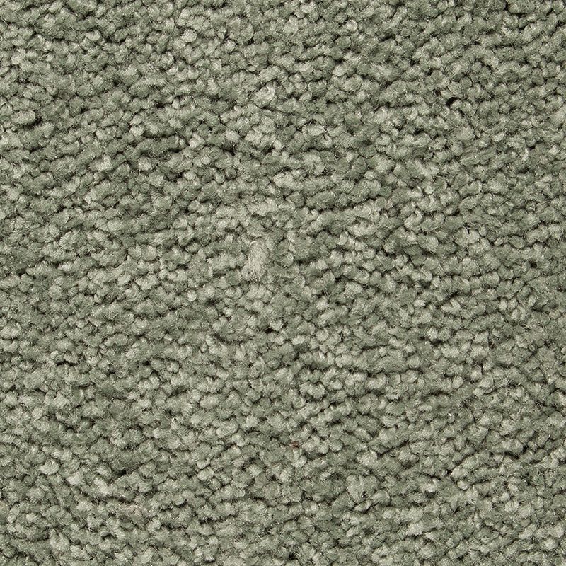 Pleasant Touch 512 Spring Spirits 70 oz. Triexta Smartstrand Silk Texture Indoor Carpet Flooring 12' Feet Wide (9 sf / yd)