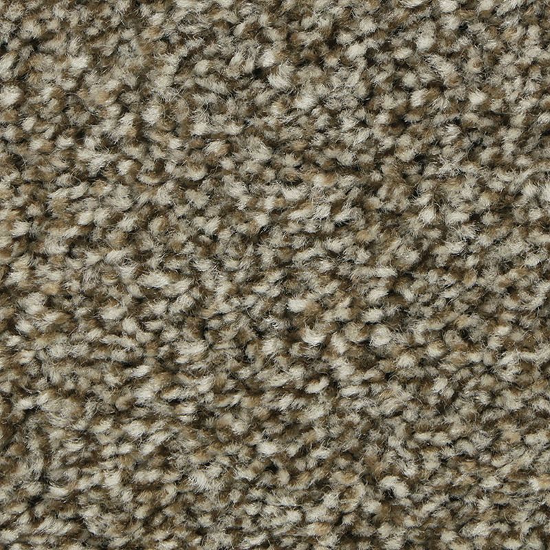 Polished Shades I 786 Spanish Galley 45 oz. Triexta Smartstrand Texture Indoor Carpet Flooring 12' Feet Wide (9 sf / yd)