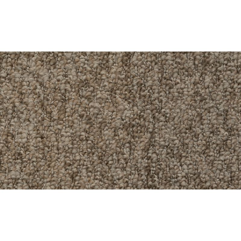 Pristine Sensation 816 Kodiak 20 oz. Polyester Everstrand Loop Indoor Carpet Flooring 12' Feet Wide (9 sf / yd)