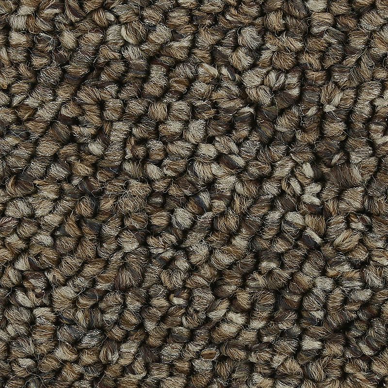 Pure Wonder 832 Copper Tones 32 oz. Polyester Everstrand Loop Indoor Carpet Flooring 12' Feet Wide (9 sf / yd)