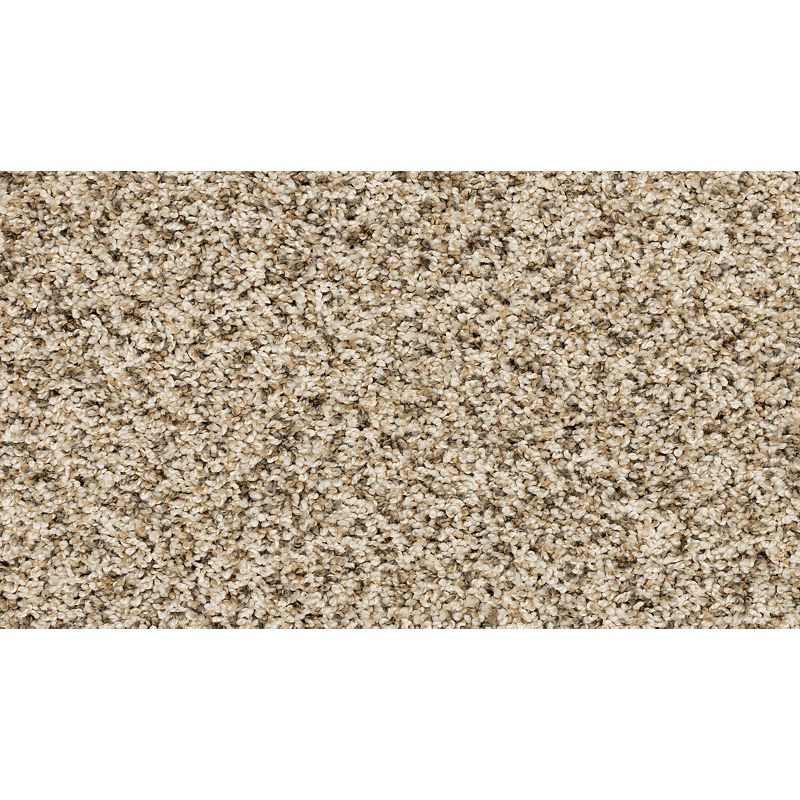 Purrsonality III 769 Frosty Spice 75 oz. Polyester Everstrand Texture Indoor Carpet Flooring 12' Feet Wide (9 sf / yd)