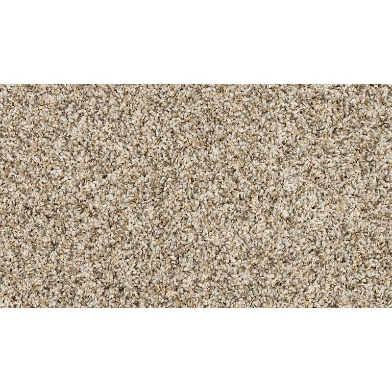 Purrsonality III 837 Soapstone 75 oz. Polyester Everstrand Texture Indoor Carpet Flooring 12' Feet Wide (9 sf / yd)