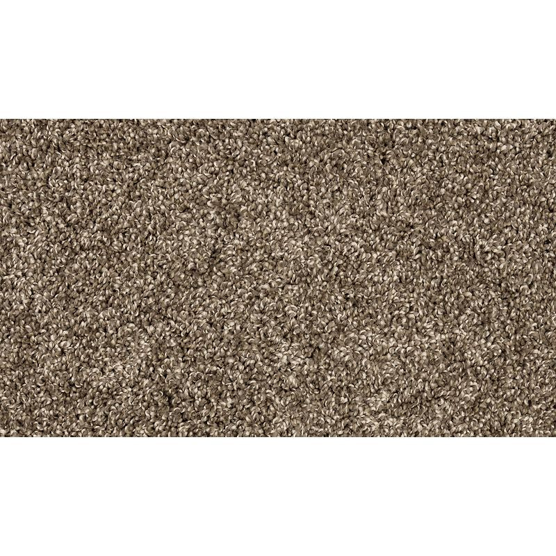 Purrsonality III 966 Legend 75 oz. Polyester Everstrand Texture Indoor Carpet Flooring 12' Feet Wide (9 sf / yd)