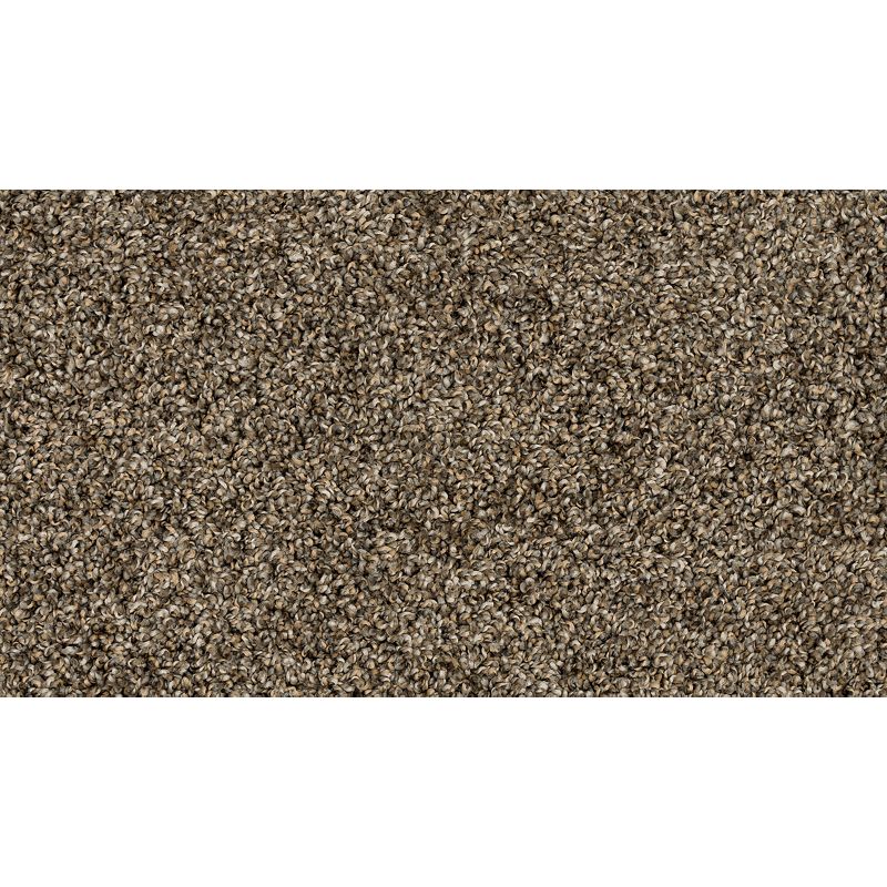 Purrsonality III 968 Nightshade 75 oz. Polyester Everstrand Texture Indoor Carpet Flooring 12' Feet Wide (9 sf / yd)
