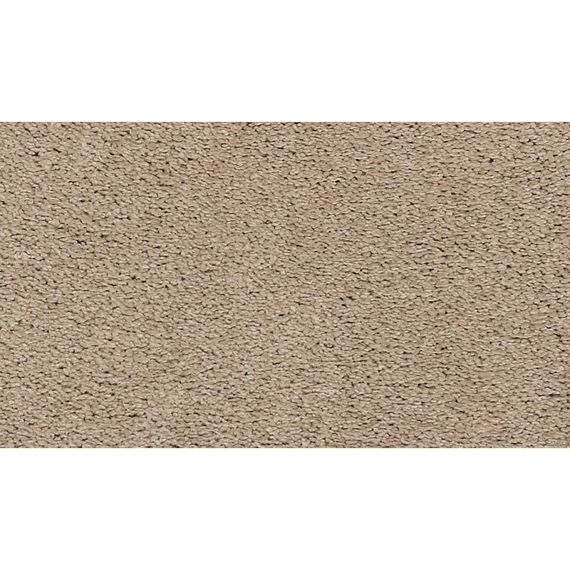 Quality Life 765 Tradition 55 oz. Triexta Smartstrand Texture Indoor Carpet Flooring 12' Feet Wide (9 sf / yd)