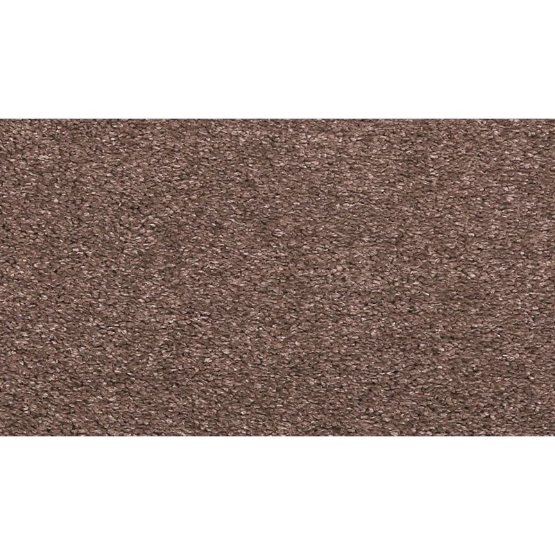 Quality Life 883 Chocolate Chip 55 oz. Triexta Smartstrand Texture Indoor Carpet Flooring 12' Feet Wide (9 sf / yd)