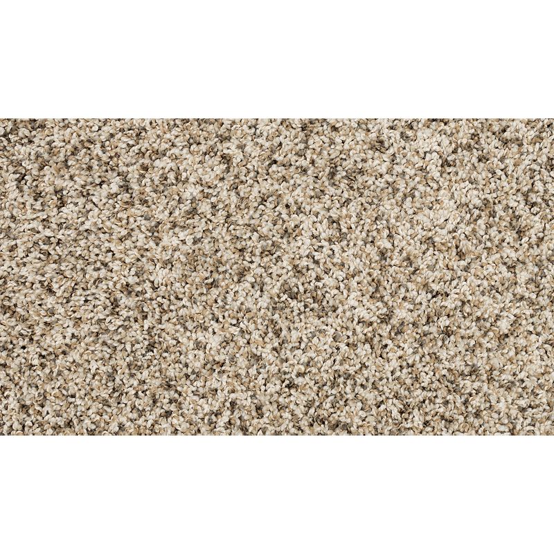 Raise The Woof II 769 Frosty Spice 53 oz. Polyester Everstrand Texture Indoor Carpet Flooring 12' Feet Wide (9 sf / yd)