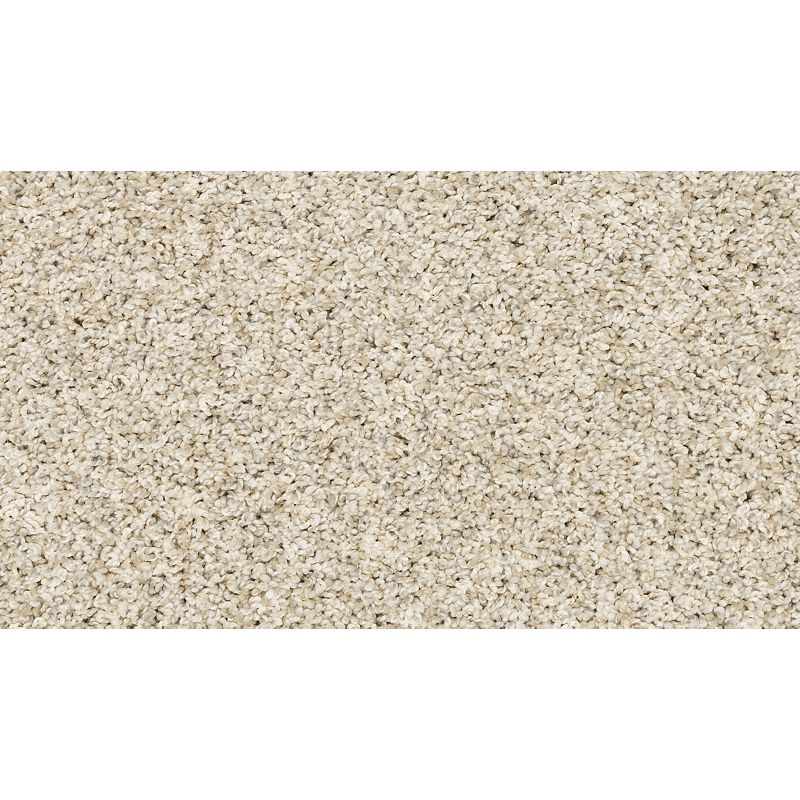 Raise The Woof II 917 London Fog 53 oz. Polyester Everstrand Texture Indoor Carpet Flooring 12' Feet Wide (9 sf / yd)