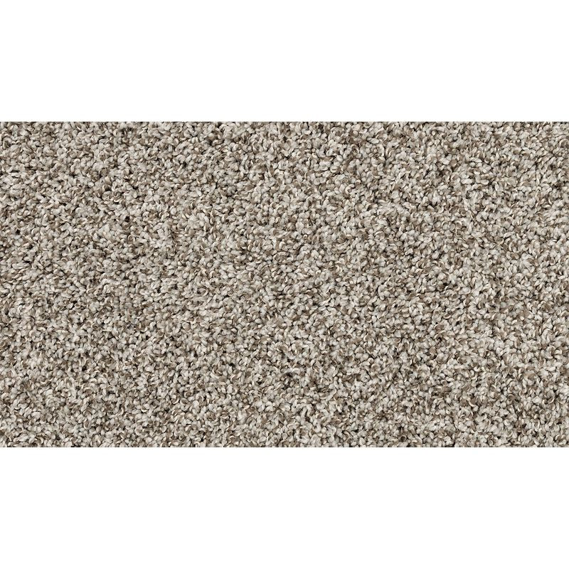 Raise The Woof II 959 Pebble Trail 53 oz. Polyester Everstrand Texture Indoor Carpet Flooring 12' Feet Wide (9 sf / yd)