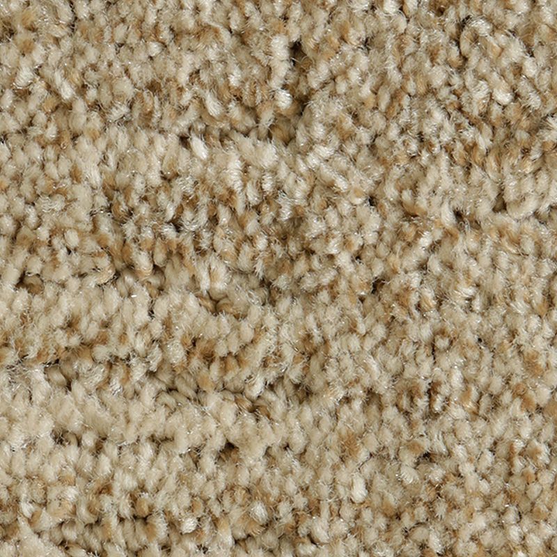 Random Nature 747 Organic 38 oz. Polyester Everstrand Pattern Indoor Carpet Flooring 12' Feet Wide (9 sf / yd)