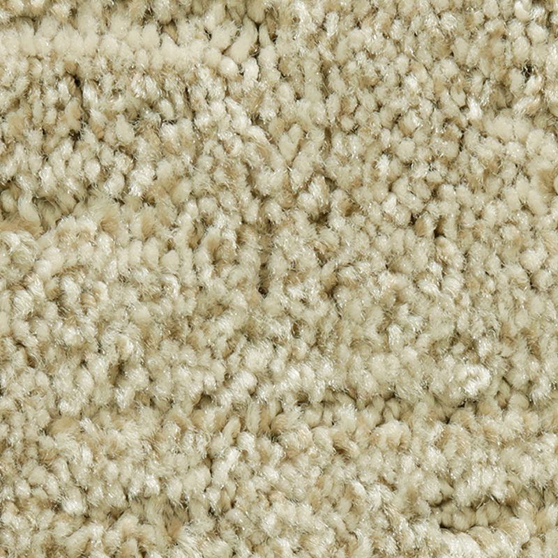 Random Nature 809 Truffle 38 oz. Polyester Everstrand Pattern Indoor Carpet Flooring 12' Feet Wide (9 sf / yd)