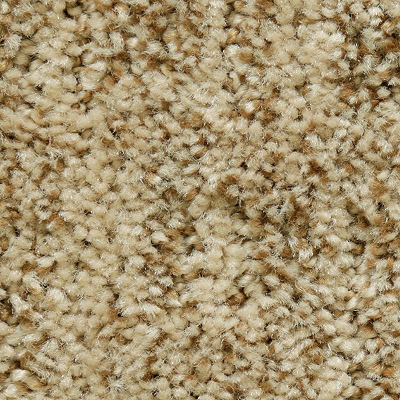 Random Nature 826 Nectar 38 oz. Polyester Everstrand Pattern Indoor Carpet Flooring 12' Feet Wide (9 sf / yd)