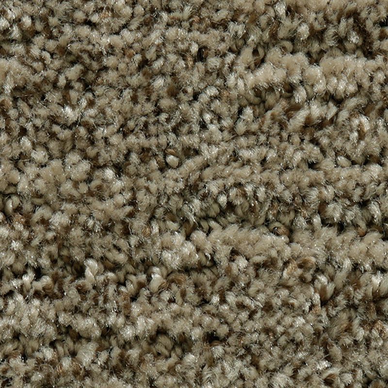 Random Nature 858 Early American 38 oz. Polyester Everstrand Pattern Indoor Carpet Flooring 12' Feet Wide (9 sf / yd)