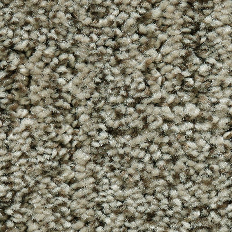 Random Nature 860 Rustic Beam 38 oz. Polyester Everstrand Pattern Indoor Carpet Flooring 12' Feet Wide (9 sf / yd)