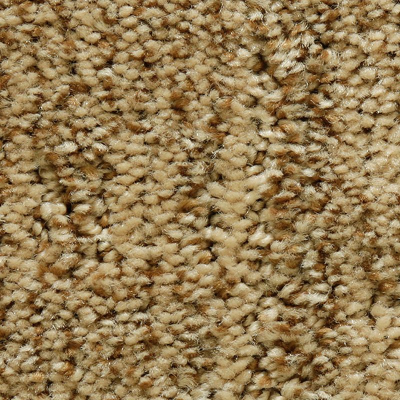 Random Nature 862 Fresh Earth 38 oz. Polyester Everstrand Pattern Indoor Carpet Flooring 12' Feet Wide (9 sf / yd)