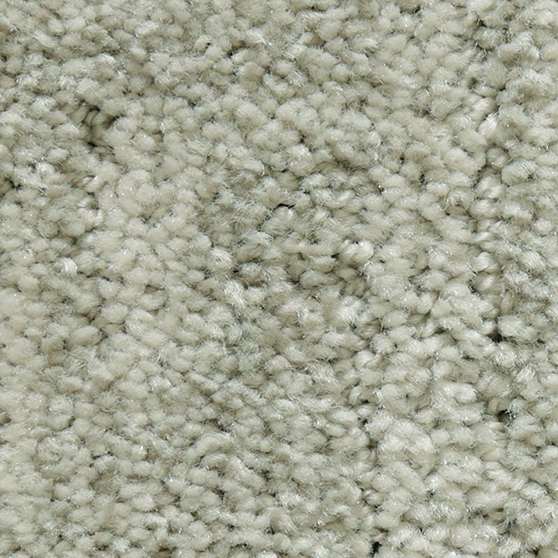 Random Nature 928 Porcelain Shale 38 oz. Polyester Everstrand Pattern Indoor Carpet Flooring 12' Feet Wide (9 sf / yd)