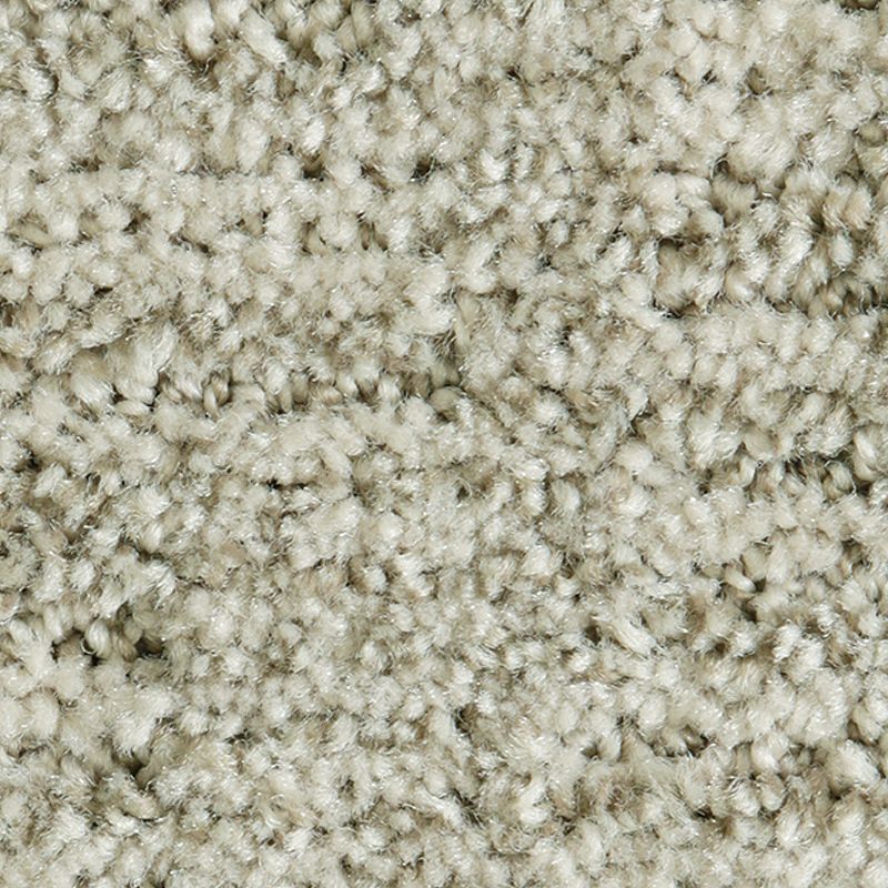 Random Nature 938 Georgia Mist 38 oz. Polyester Everstrand Pattern Indoor Carpet Flooring 12' Feet Wide (9 sf / yd)