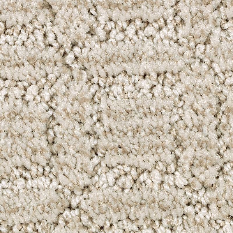 Refined Interest 746 Ancient Treasure 38 oz. Polyester Everstrand Pattern Indoor Carpet Flooring 12' Feet Wide (9 sf / yd)