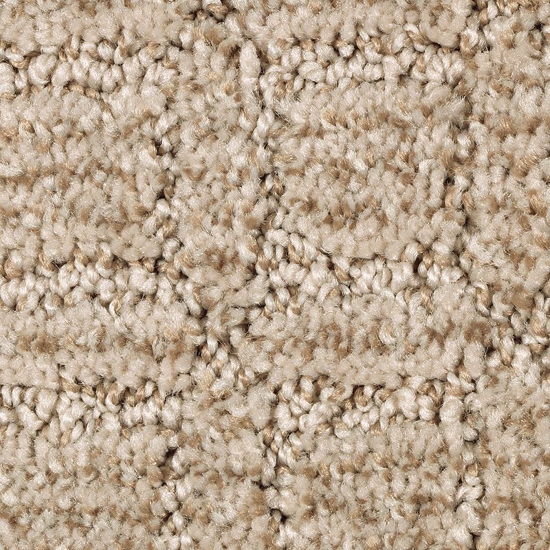 Refined Interest 828 Gentle Doe 38 oz. Polyester Everstrand Pattern Indoor Carpet Flooring 12' Feet Wide (9 sf / yd)