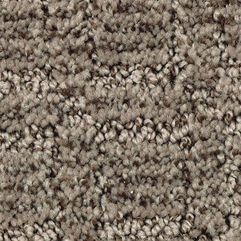 Refined Interest 859 Rustic Taupe 38 oz. Polyester Everstrand Pattern Indoor Carpet Flooring 12' Feet Wide (9 sf / yd)