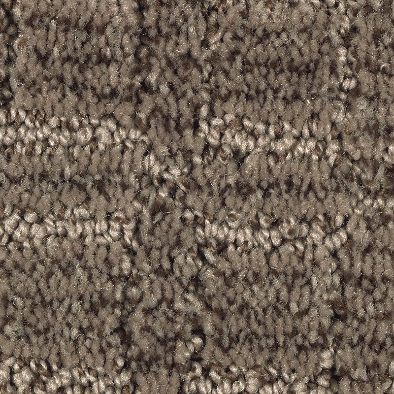 Refined Interest 865 Deep Sable 38 oz. Polyester Everstrand Pattern Indoor Carpet Flooring 12' Feet Wide (9 sf / yd)