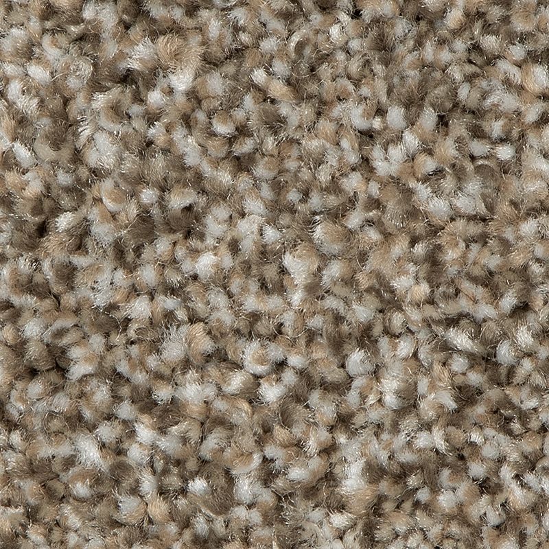 Mohawk SP963 Refreshing Shades 859 Vision – Flamingo's Flooring