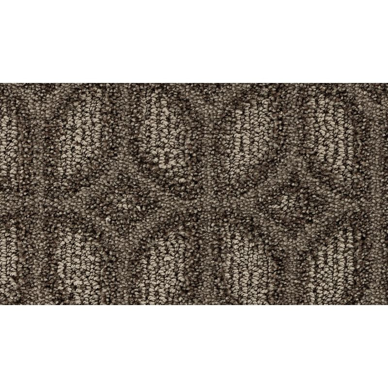 Regal Appeal 858 Woodland 38 oz. Polyester Everstrand Soft Appeal Pattern Indoor Carpet Flooring 12' Feet Wide (9 sf / yd)