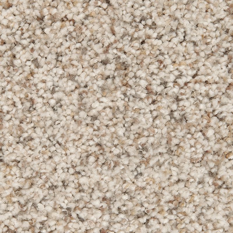 Relaxing Presence 550 Antique 45 oz. Triexta Smartstrand Silk Texture Indoor Carpet Flooring 12' Feet Wide (9 sf / yd)