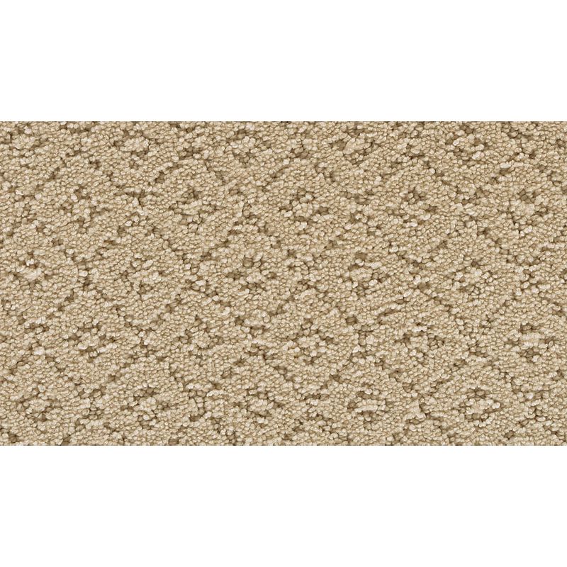 Remarkable Elegance 504 Fragile Beauty 38 oz. Triexta Smartstrand Pattern Indoor Carpet Flooring 12' Feet Wide (9 sf / yd)