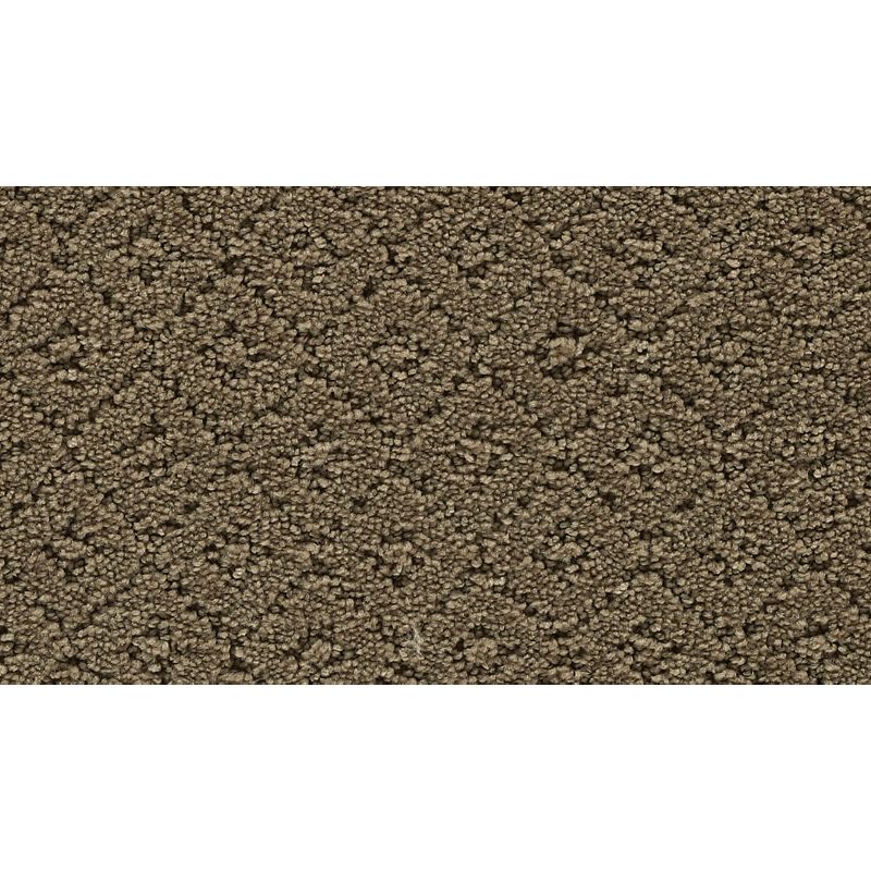 Remarkable Elegance 515 Folkstone 38 oz. Triexta Smartstrand Pattern Indoor Carpet Flooring 12' Feet Wide (9 sf / yd)