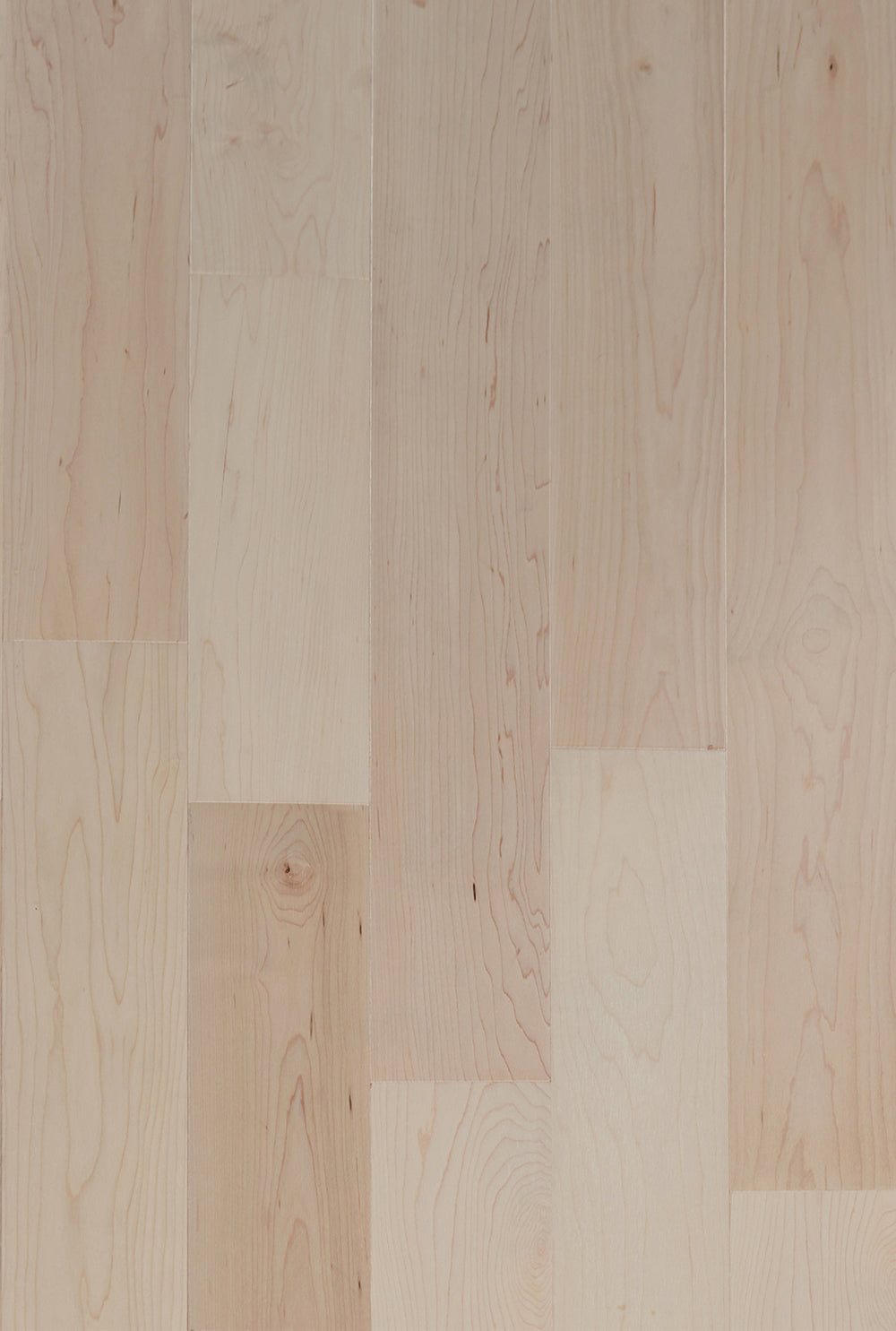 LS Series LS-02 Canadian Maple 5/8" In T x 3 1/2" In W x Random Lengths 2mm T&G Engineered Hardwood Flooring (18.76 sf / box)
