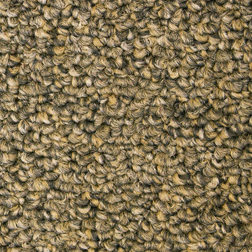 Scholarship II 20 948 Birch Gray 20 oz. Nylon ColorStrand ND Indoor Loop Broadloom Carpet Flooring 12' Feet Wide (9 sf / yd)