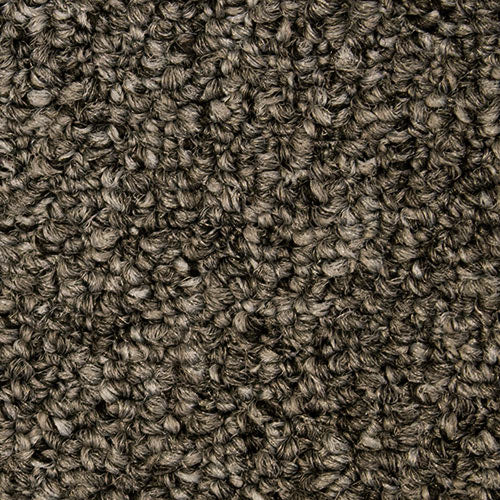 Scholarship II 26 965 Gravel 26 oz. Nylon ColorStrand ND Indoor Loop Broadloom Flooring 12' Feet Wide (9 sf / yd)