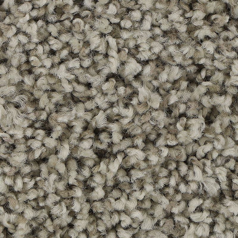 Soft Aspect 720 Dovetail 34 oz. Polyester Everstrand Soft Appeal Texture Indoor Carpet Flooring 12' Feet Wide (9 sf / yd)