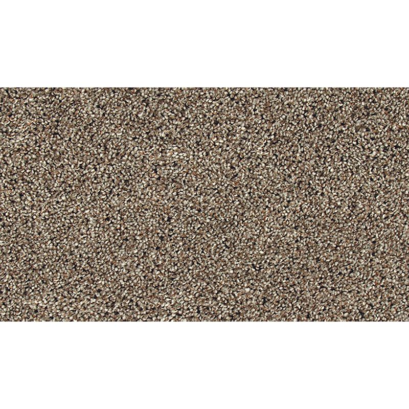 Soft Tempo II 859 Shadow Suede 52 oz. Polyester Everstrand Soft Appeal Texture Indoor Carpet Flooring 12' Feet Wide (9 sf / yd)